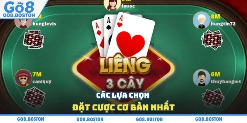 Các lựa chọn đặt cược cơ bản nhất