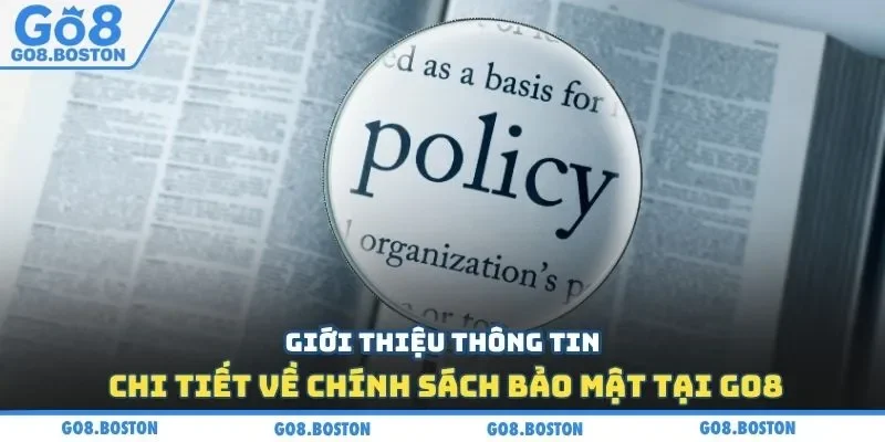 Giới thiệu thông tin chi tiết về chính sách bảo mật tại GO8