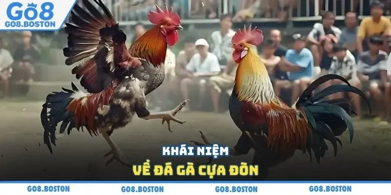 Khái niệm về đá gà cựa đòn