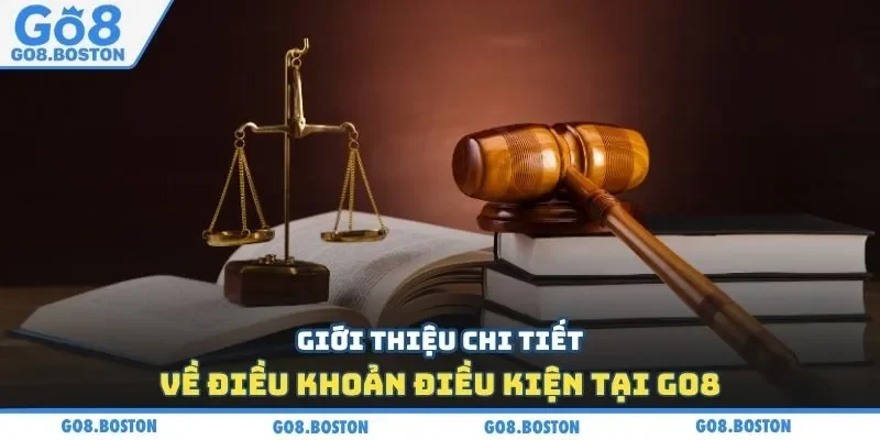 Giới thiệu chi tiết về điều khoản điều kiện tại GO8