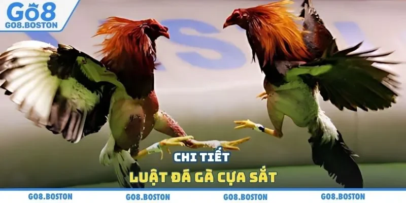 Chi tiết luật đá gà cựa sắt