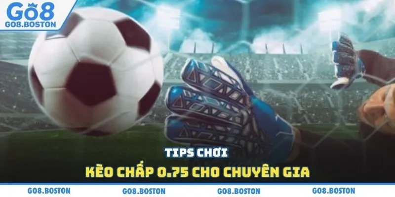 Tips chơi kèo chấp 0.75 cho chuyên gia